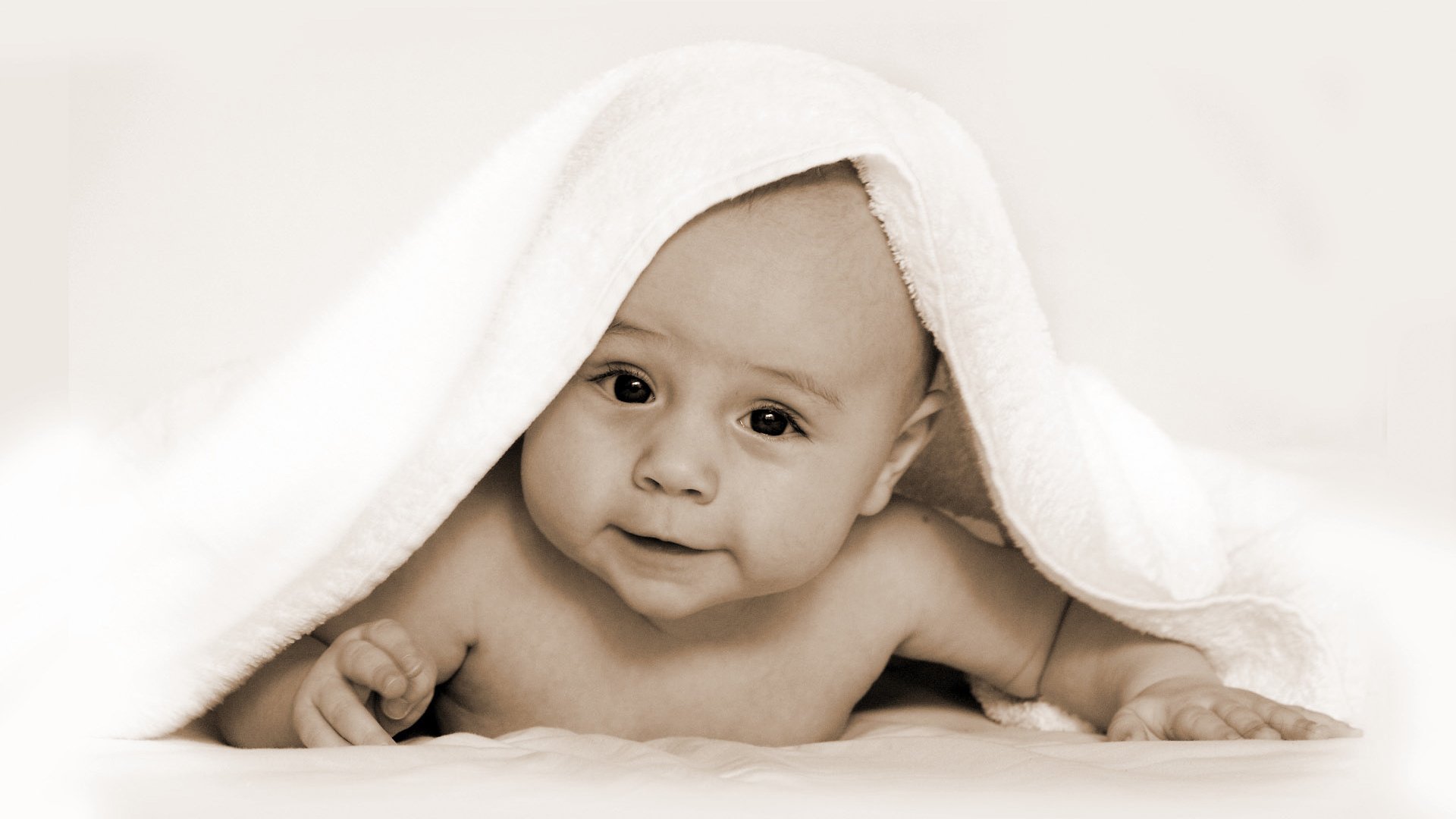 佛山捐卵机构试管婴儿成功机率